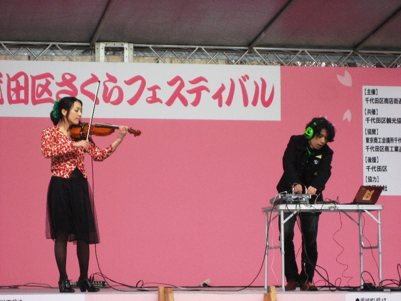 live_sakurafestival